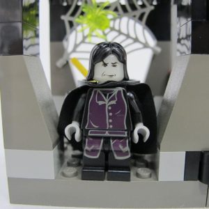 Snape's Class. Complete with instructions, no box - Image 2