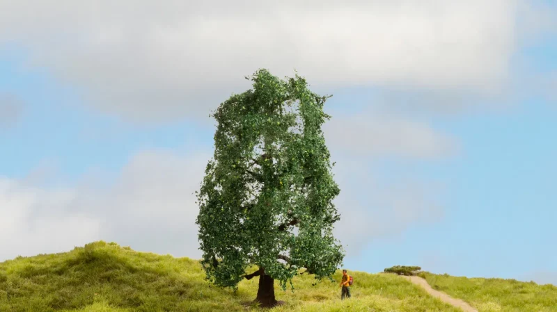 Oak Tree