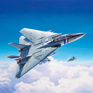F-14D Super Tomcat - Image 5
