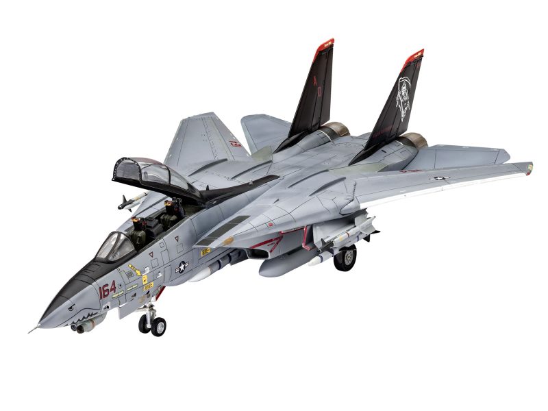 Grumman F-14D Super Tomcat - Image 9
