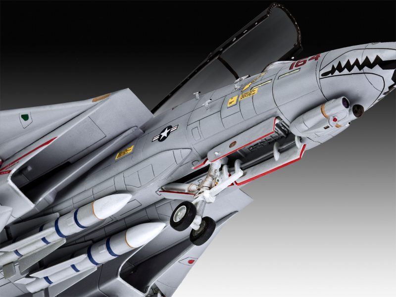 Grumman F-14D Super Tomcat - Image 10