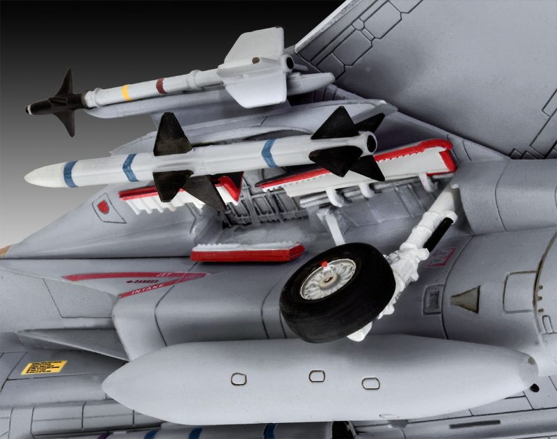 Grumman F-14D Super Tomcat - Image 3