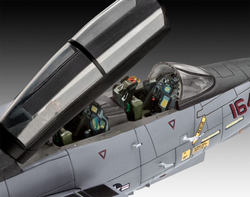 Grumman F-14D Super Tomcat - Image 4