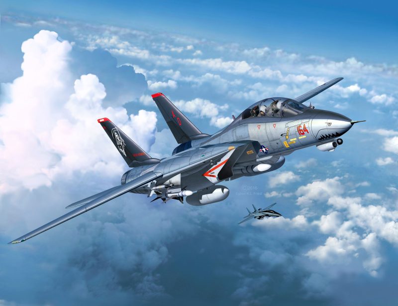 Grumman F-14D Super Tomcat - Image 6