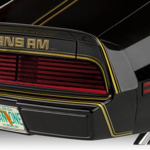 ’79 Pontiac™ Firebird™ Trans Am - Image 5