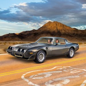 ’79 Pontiac™ Firebird™ Trans Am - Image 9