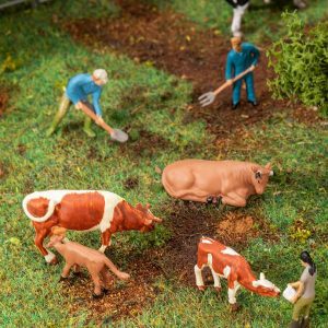 Farmers and cows