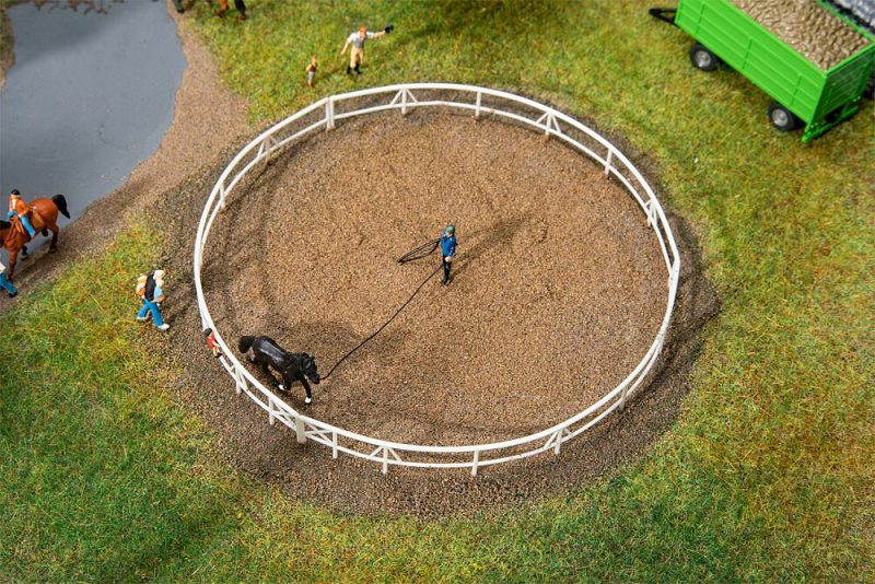 Lunging circle - Image 2