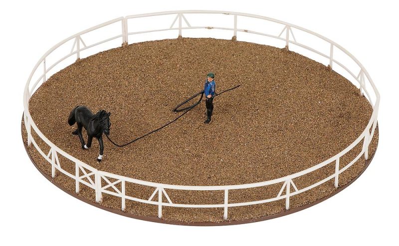Lunging circle - Image 3