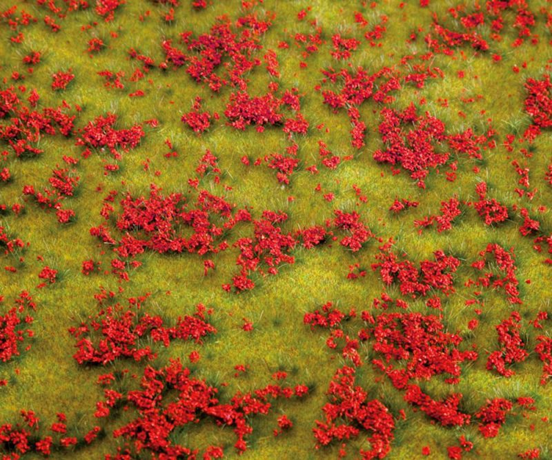 PREMIUM landscape segment,