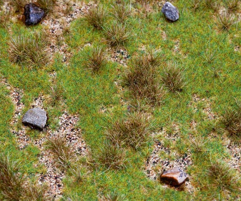 PREMIUM landscape segment,