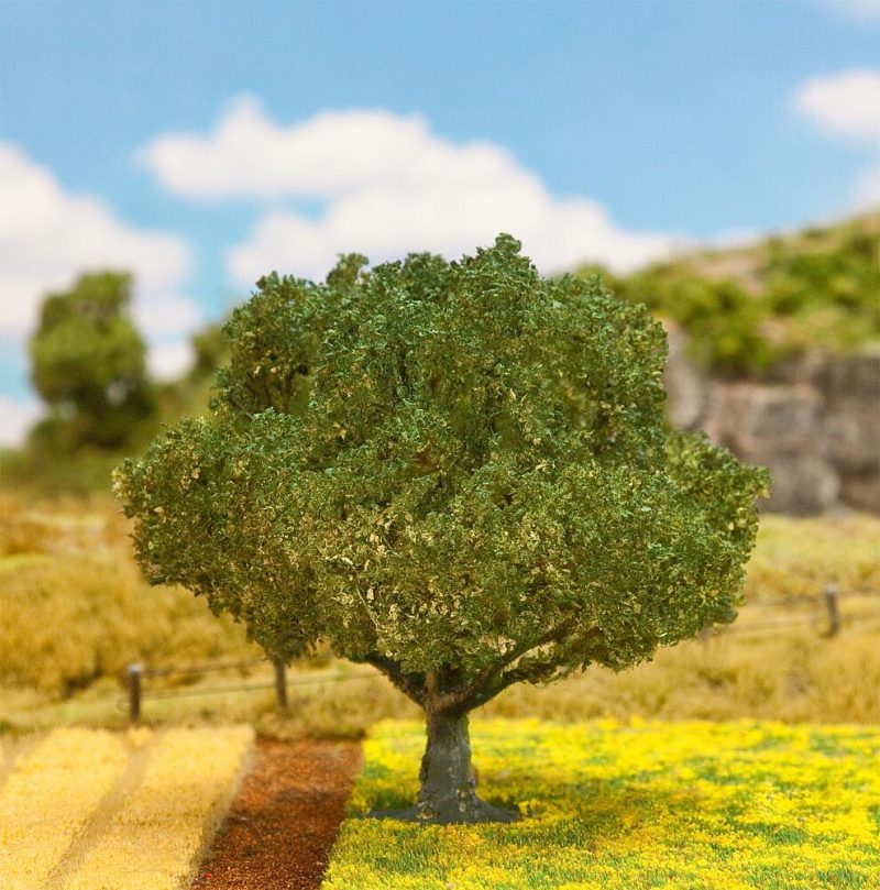 1 PREMIUM holm oak