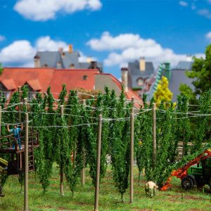 Hop field with poles - Image 2