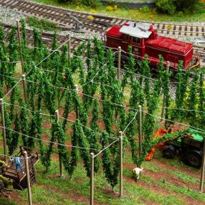 Hop field with poles
