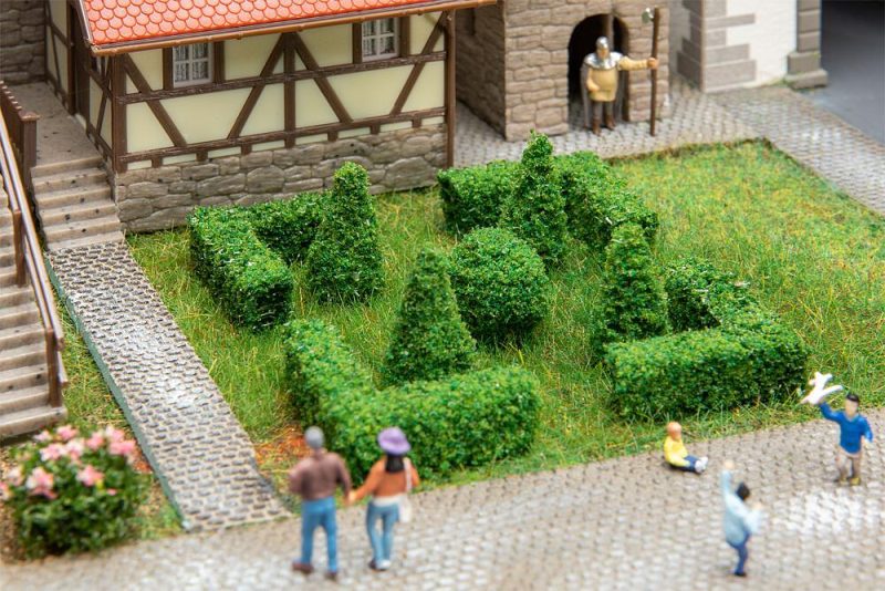 Boxwood set