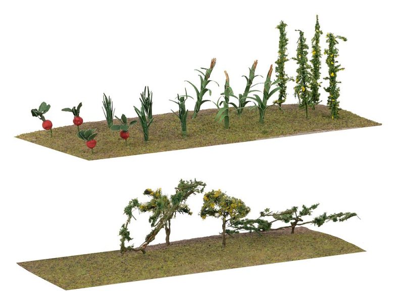 Vegetable and fruit garden - Image 2