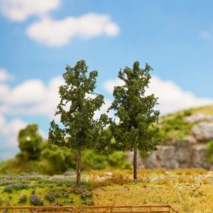 2 PREMIUM spruce trees