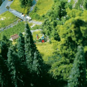 2 PREMIUM spruce trees - Image 4