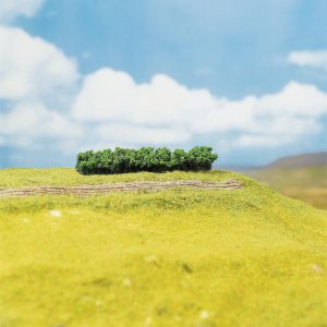 4 PREMIUM hedges, light green