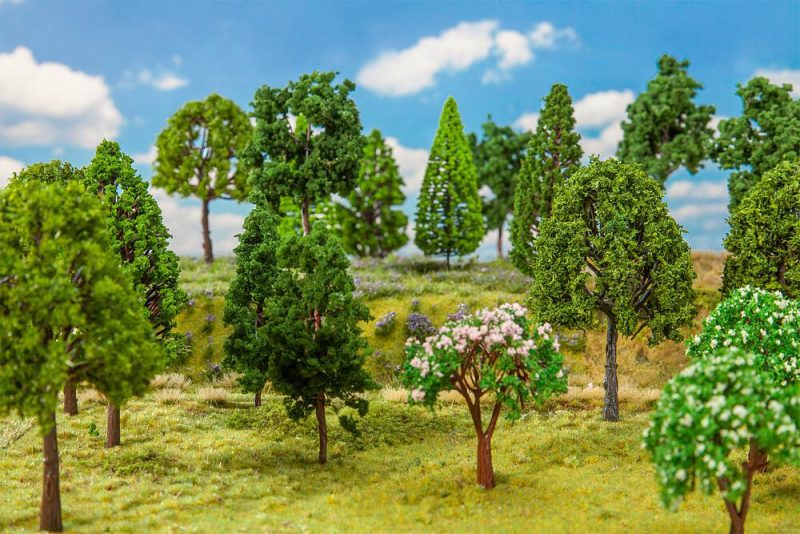 30 deciduous trees