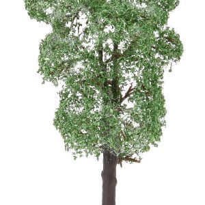 2 pear trees - Image 2