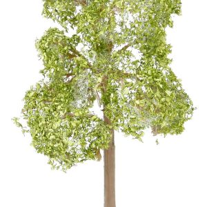 2 pear trees - Image 3