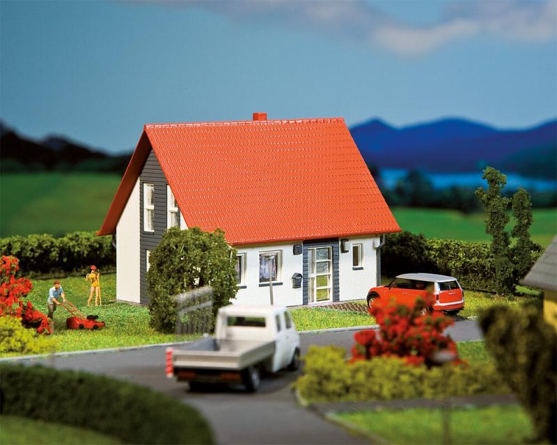 Single-family house, gray