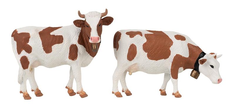 Red coloured cows