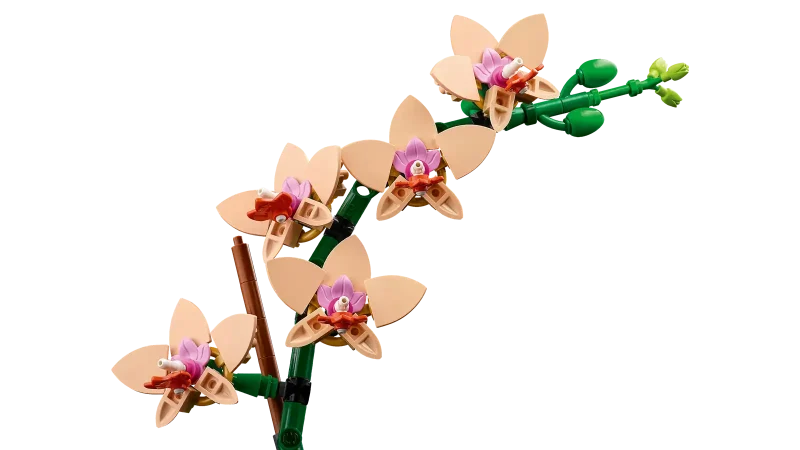 LEGO Botanical Collection 10343 Mini Orchid